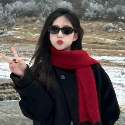 网中的太阳